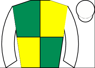 Horse silk