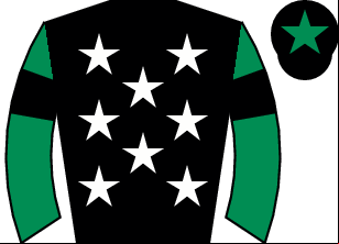 Horse silk