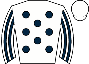 Horse silk