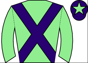 Horse silk