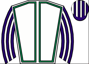 Horse silk