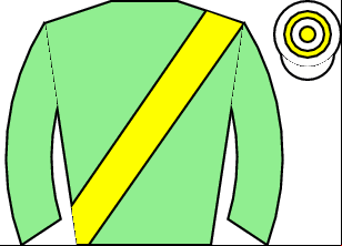 Horse silk