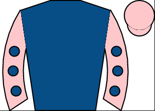 Horse silk