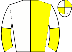 Horse silk