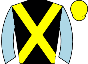 Horse silk