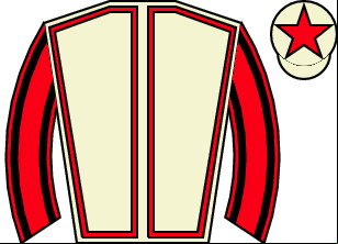 Horse silk