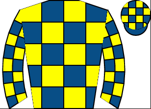 Horse silk
