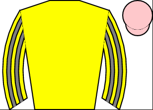 Horse silk