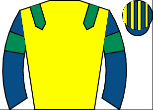 Horse silk
