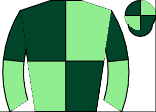 Horse silk