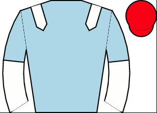 Horse silk