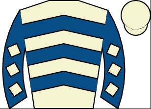 Horse silk