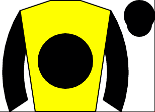 Horse silk