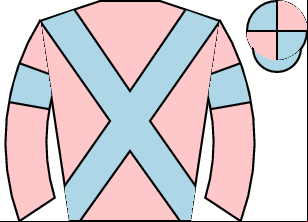 Horse silk