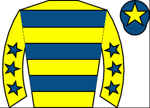 Horse silk