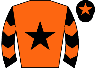 Horse silk