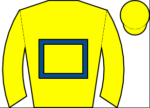 Horse silk