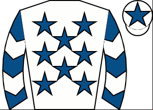 Horse silk