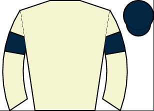 Horse silk