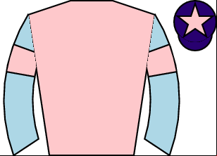 Horse silk