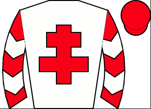 Horse silk