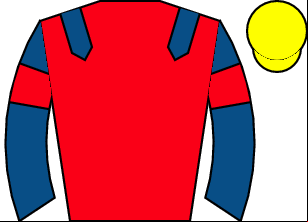 Horse silk