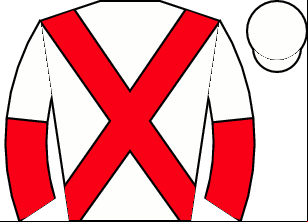 Horse silk