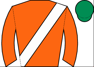 Horse silk