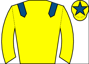 Horse silk