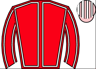 Horse silk
