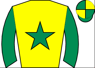 Horse silk