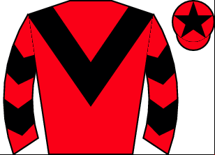 Horse silk