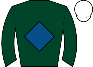 Horse silk