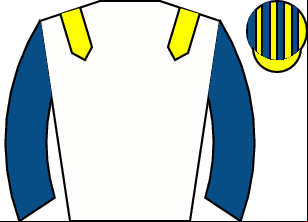Horse silk