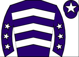 Horse silk