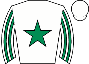 Horse silk