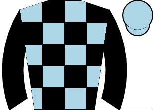 Horse silk