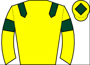 Horse silk