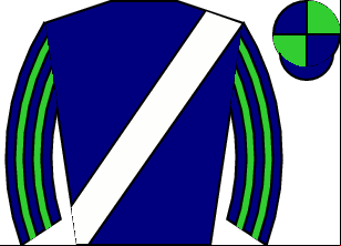Horse silk