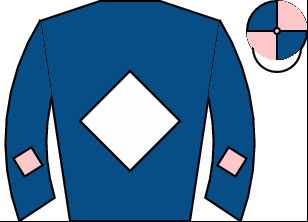 Horse silk