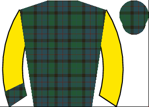 Horse silk
