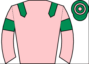 Horse silk