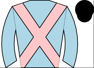 Horse silk