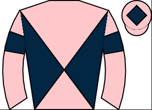 Horse silk