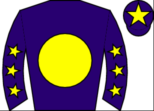 Horse silk