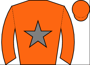 Horse silk