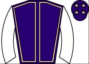 Horse silk