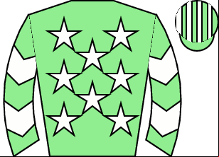 Horse silk