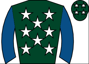 Horse silk