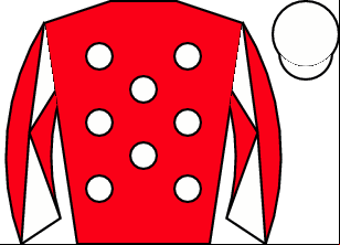 Horse silk